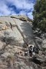 Person sitting on a rocky slope beside a large boulder, holding a black and white border collie, with a pine tree partially visible to the right and a partly cloudy blue sky overhead
