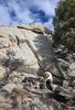 A person wearing a hat sitting on rocks near a small campfire with two black and white border collies resting beside them, under a partly cloudy blue sky and next to large rock formations and pine trees