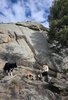 Man wearing a hat sitting on rocky terrain by a small campfire with a black and white border collie standing on a rock nearby under a partly cloudy sky
