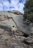 A man wearing outdoor clothing and a wide-brimmed hat stands on rocky terrain near a small campfire with a black dog exploring nearby, set against a large rock formation and a partly cloudy sky