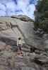 person in outdoor clothing and hat standing on rocky terrain near a small campfire with a black and white border collie beside them and large rock formations and trees in the background under a partly cloudy sky
