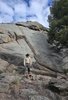 Person wearing a cowboy hat standing on rocky terrain with a small campfire in front, large rock formation behind, and green pine trees to the right under a partly cloudy sky
