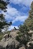 Two black and white border collies perched on large rocky outcrops surrounded by evergreen trees under a blue sky with scattered clouds
