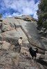 A man wearing a cowboy hat stands near a small campfire on rocky terrain with large boulders and trees surrounding him, accompanied by two black and white dogs