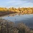 Calm river reflecting yellow and orange trees under a partly cloudy sky with dry grasses along the riverbank in the foreground