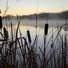 Tall cattails and slender reeds silhouetted against a calm river with mist rising and a pale, early morning sky in the background