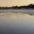 Calm river at sunrise with mist rising above the water and silhouettes of bare trees in the background, two ducks swimming on the water's surface