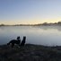 Two border collies standing by the edge of a misty river at dawn, looking across the calm water with silhouettes of trees along the horizon