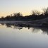Calm riverside at dawn with bare trees along the shore and two dark-colored dogs near the water's edge reflected in the still water
