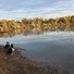 Two black and white border collies standing on a dry grassy riverbank looking out over a calm river reflecting trees with autumn foliage under a partly cloudy sky