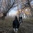 Two border collies running along a narrow dirt path through a leaf-strewn area with bare trees and dry grass under a clear sky