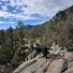 Two black and white dogs standing on rocky terrain overlooking a forested mountain landscape under a partly cloudy blue sky