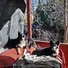 Two black and white border collies resting on a red outdoor couch with a gray blanket, bathed in sunlight, next to a wooden railing and leafless trees