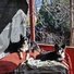 Two black and white border collies resting on a red couch outdoors with leafless trees and a tree-covered yard in the background