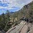 Two black-and-white dogs standing on rocky terrain overlooking a forested mountain valley under a partly cloudy blue sky