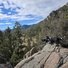 Two black and white dogs standing alert on a large rock overlooking a forested mountain valley under a partly cloudy sky