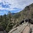 Two black and white dogs standing on rocky terrain overlooking a forested valley with mountains under a partly cloudy sky