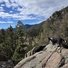 Two border collies standing on a rocky outcrop overlooking a forested mountain valley under a partly cloudy blue sky