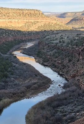 Winding river flowing through a deep canyon with layered rocky cliffs and sparse vegetation under a clear sky