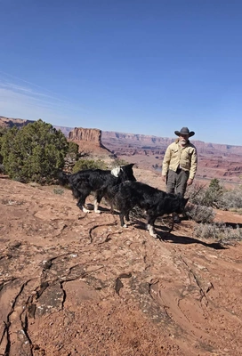 A man wearing a tan jacket and cowboy hat stands on red rocky terrain with two black and white border collies, against a backdrop of expansive canyon cliffs under a clear blue sky