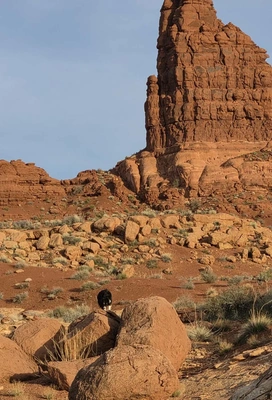 Tall orange-red rock formation with rugged texture rising against a clear blue sky, surrounded by smaller rocks and sparse desert vegetation