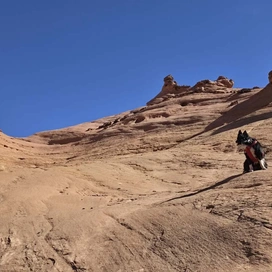 black and white dog wearing a red harness sitting on smooth, sloping red sandstone rock formations under a clear blue sky