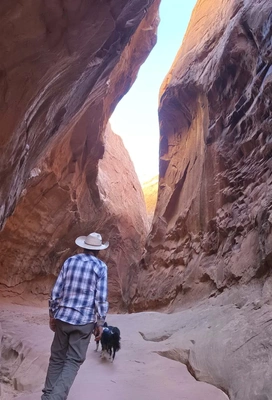 Person wearing a hat and plaid shirt walking with two dogs through a narrow canyon with tall reddish rock walls