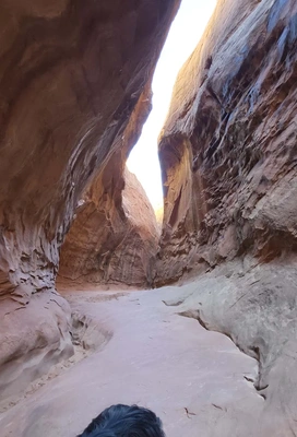 Narrow winding canyon with smooth reddish sandstone walls illuminated by sunlight from above