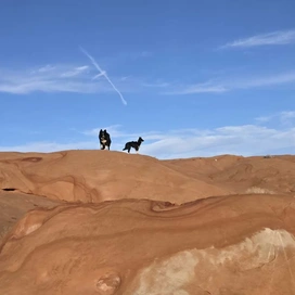 Two dogs standing on reddish sandstone rock formations under a blue sky with light clouds