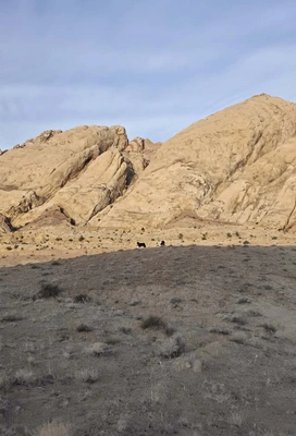Two dark horses standing on a scrub-covered hill in front of large, beige sandstone rock formations under a partly cloudy sky