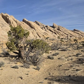 Jagged, tilted sedimentary rock formations rising sharply under a clear blue sky with sparse vegetation and desert terrain in the foreground