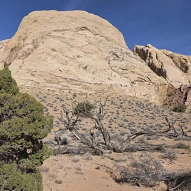 rocky desert landscape with large smooth sandstone formations under a clear blue sky and sparse vegetation including green shrubs and dry bushes