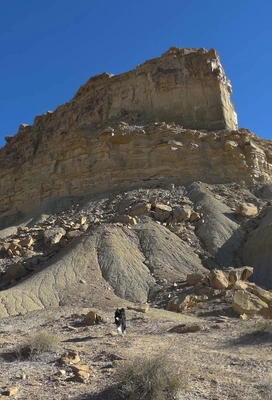 Rocky sedimentary cliff with layered formations under a clear blue sky and a black and white dog walking on the slope below