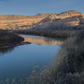 Calm river reflecting orange and pink layered canyon cliffs under a clear blue sky with dry grasses and shrubs along the riverbank