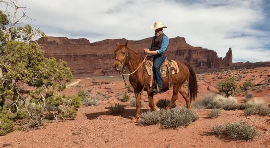 Man wearing a cowboy hat and vest sitting on a brown horse in a desert landscape with red rock formations and sparse desert vegetation