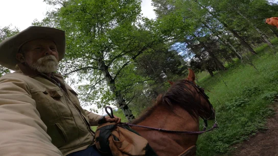 Man wearing a cowboy hat and beige jacket riding a brown horse on a forest trail with green trees and grass around