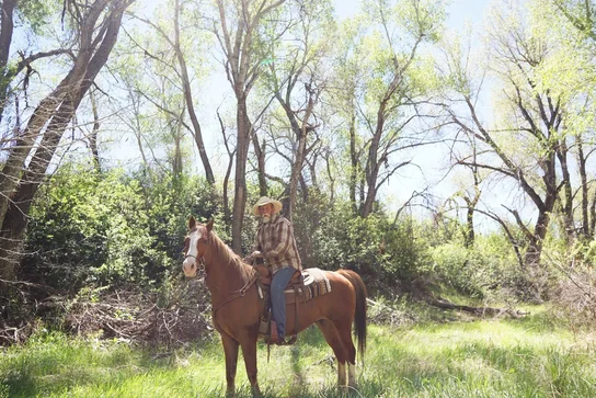 Man wearing a cowboy hat and plaid shirt sitting on a brown horse in a sunlit grassy clearing with tall trees in the background