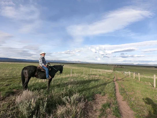 Person wearing a cowboy hat and plaid shirt sitting on a black horse on a grassy trail under a wide, partly cloudy sky