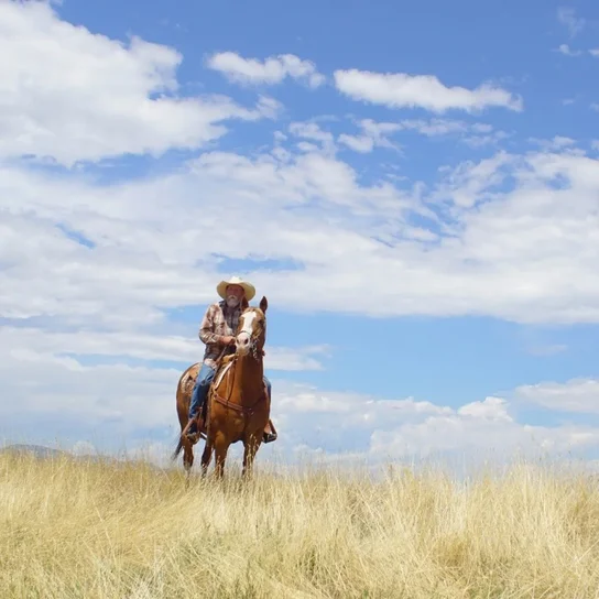 Man wearing a cowboy hat and plaid shirt riding a brown and white horse through tall dry grass under a partly cloudy blue sky