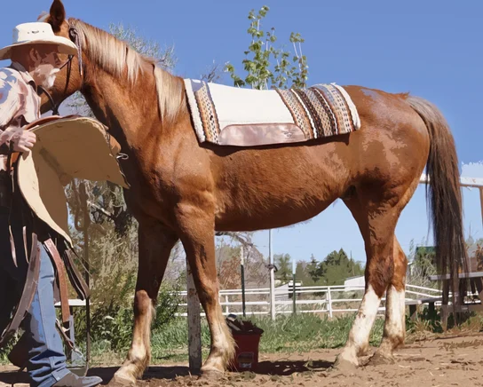 Man in a cowboy hat standing beside a saddled brown horse in an outdoor fenced area under a clear blue sky