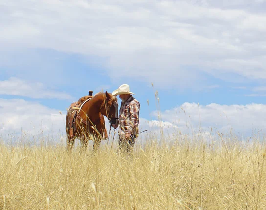 Person wearing a cowboy hat standing close to a saddled horse in a field of tall dry grass under a partly cloudy sky
