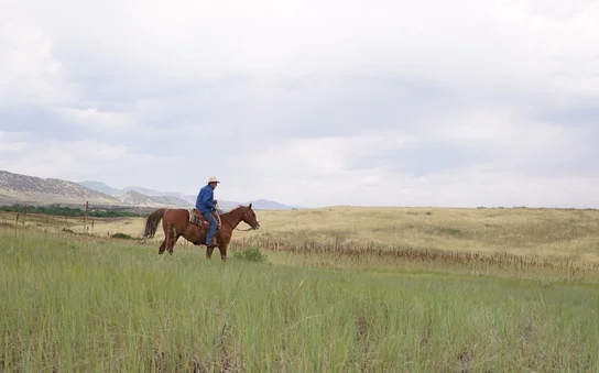 Person in blue jacket and cowboy hat riding a brown horse through a green grassy field under a cloudy sky