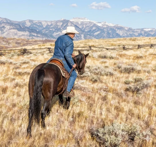Person wearing a white cowboy hat and blue jacket riding a dark horse through a dry grassy field with mountains in the background