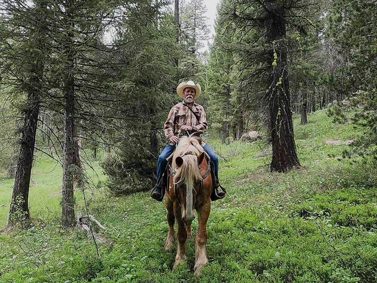 Man wearing a cowboy hat riding a horse through a dense green forest with tall trees and greenery