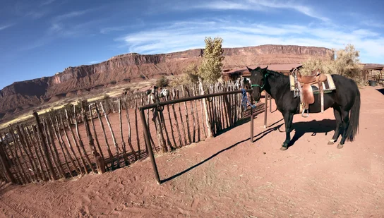 Black horse with a saddle tied to a post in a fenced corral with red dirt ground and red rock formations in the background under a blue sky