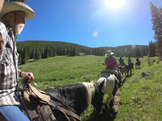 Group of riders on horses following a narrow trail through a green meadow under a bright blue sky with the sun shining