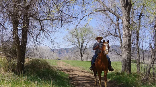 A man with a beard wearing a hat rides a brown horse on a dirt path surrounded by leafless trees and green grass with mountains in the background under a clear blue sky
