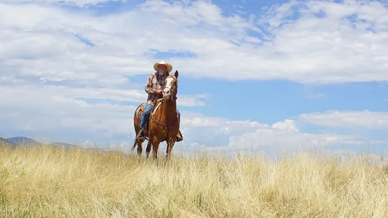 A man wearing a cowboy hat and plaid shirt riding a brown horse through tall dry grass under a partly cloudy blue sky