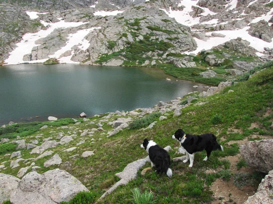 wpic500.webp