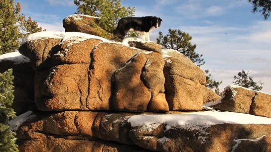wpic840.webp